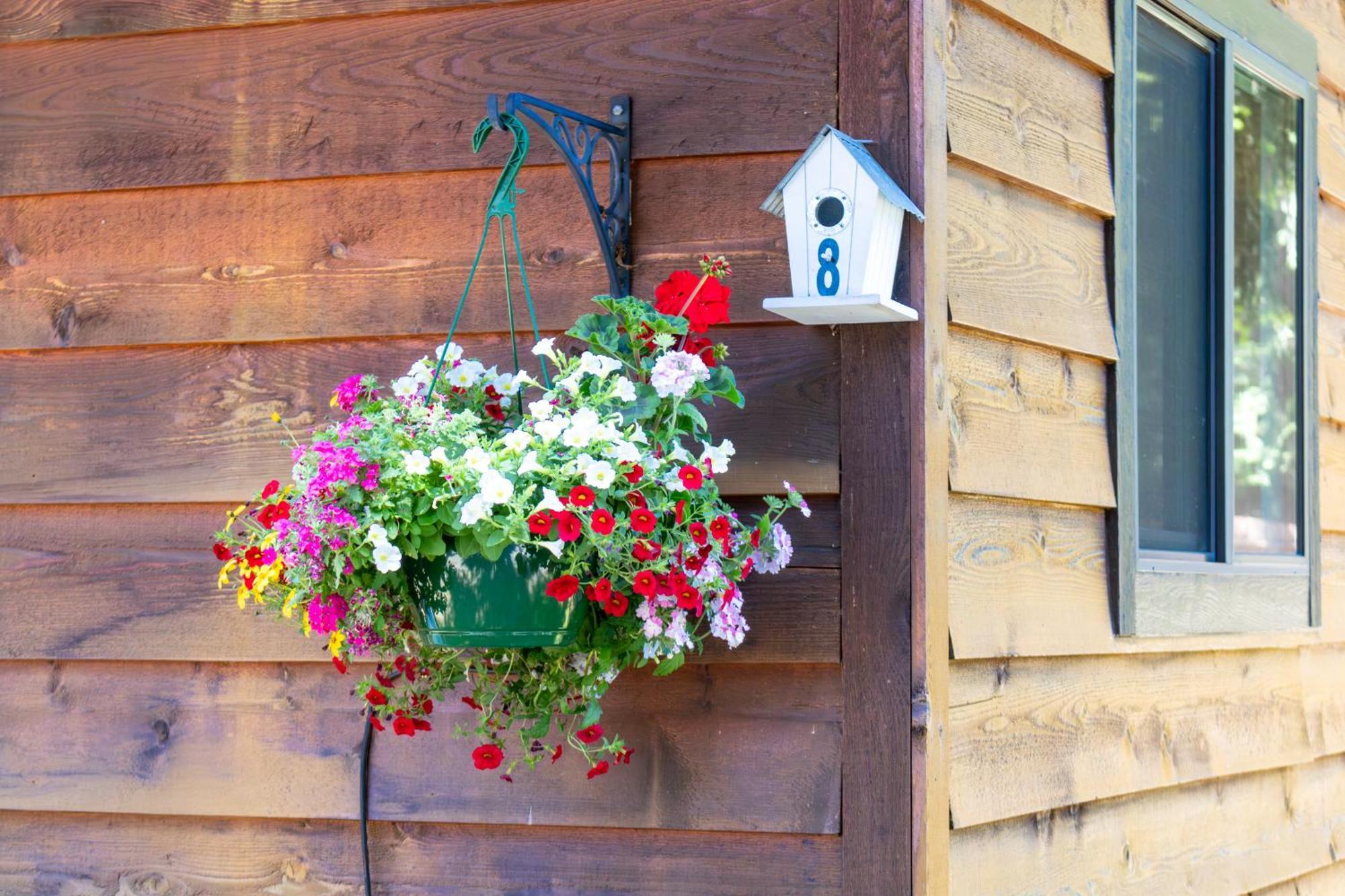 Riverbend Cottage & Rv Resort Parksville Exterior foto