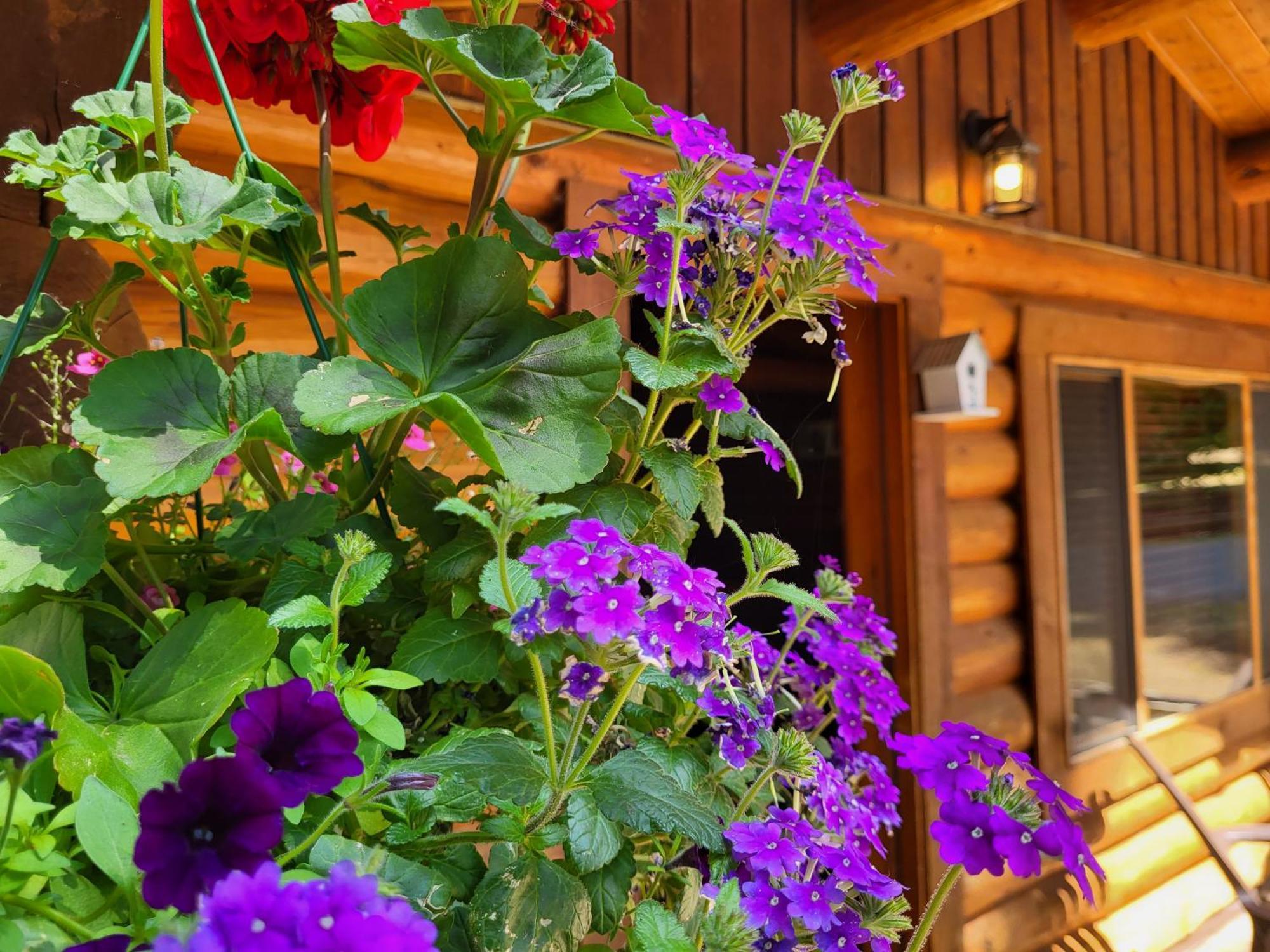 Riverbend Cottage & Rv Resort Parksville Exterior foto